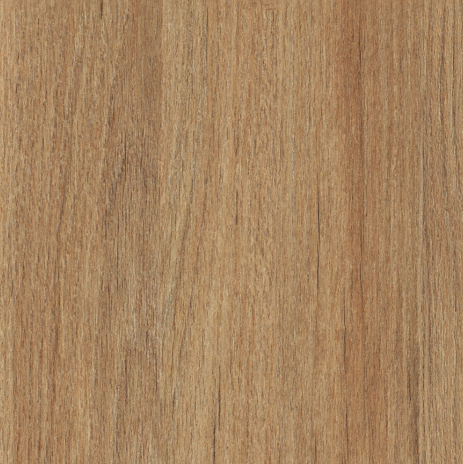 H72 Ginger Root, Aura, TFL